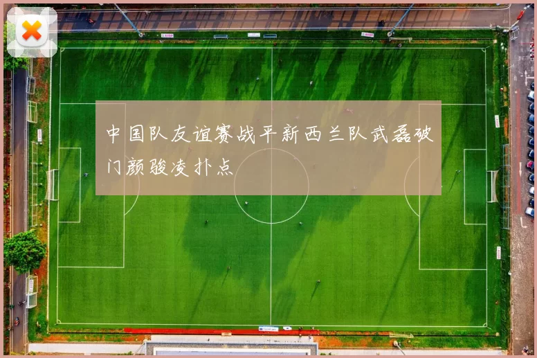 中国队友谊赛战平新西兰队武磊破门颜骏凌扑点