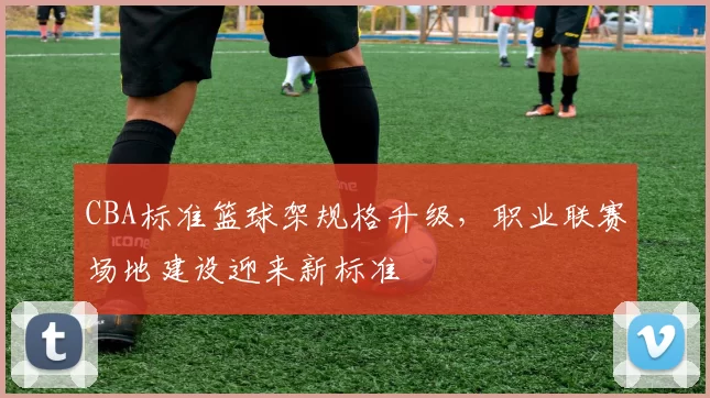 CBA标准篮球架规格升级，职业联赛场地建设迎来新标准