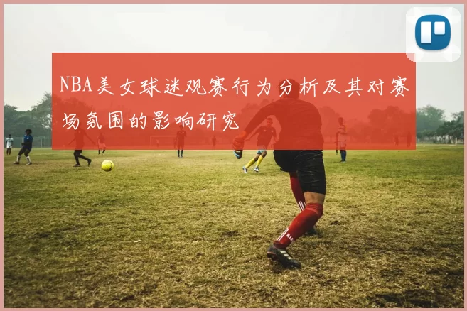 NBA美女球迷观赛行为分析及其对赛场氛围的影响研究