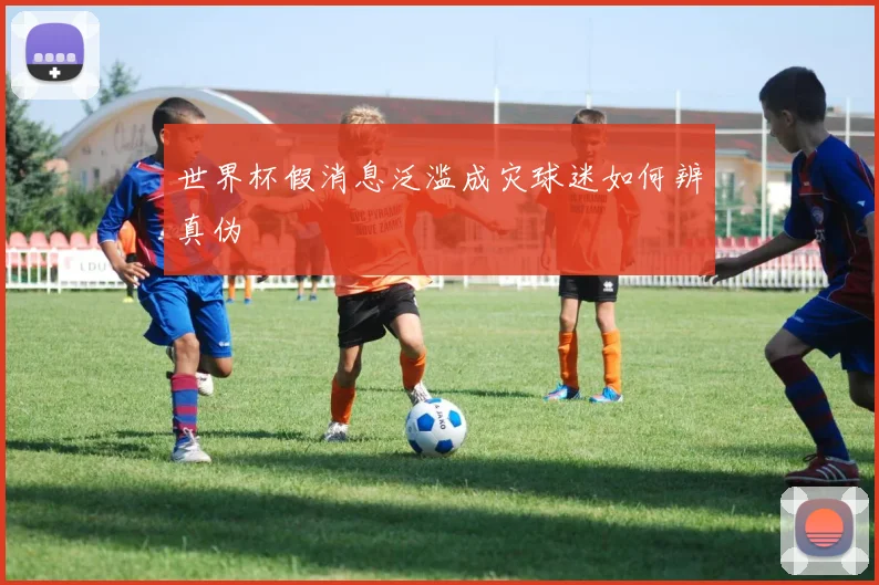 世界杯假消息泛滥成灾球迷如何辨真伪