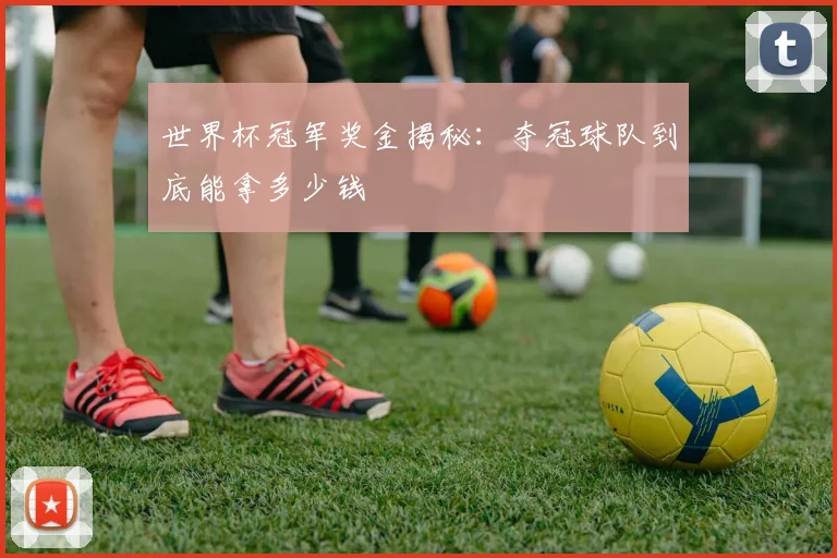世界杯冠军奖金揭秘：夺冠球队到底能拿多少钱